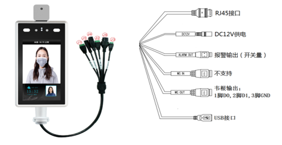 Infrared thermal Face recognition human Body Temperature measurement camera system