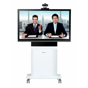 RP100-46A RoomTelepresence Solution,47 inch,Single Screen