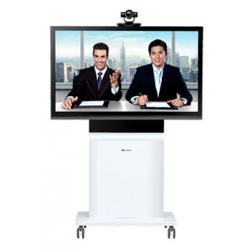 RP100-46A RoomTelepresence Solution,47 inch,Single Screen